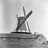 Versierd bij opening op 12 juli 1958 - Westbroek - 20253847 - RCE -  Korenmolen De Kraai: versierd bij opening op 12 juli 1958 