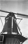 Achtkante stellingmolen na roedebreuk op 3 november 1961 - Westbroek - 20004581 - RCE -  Korenmolen De Kraai: Achtkante stellingmolen na roedebreuk op 3 november 1961 