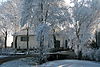 Wilnis Veldhuisweg 2 Dwarshuisboerderij img9847 -  Wilnis, Veldhuisweg 2, het 