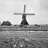Overzicht met molenaarswoning - Lopik - 20046288 - RCE -  Molen: overzicht met molenaarswoning 