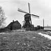 Overzicht met molenaarswoning - Lopik - 20046290 - RCE -  Molen: overzicht met molenaarswoning 