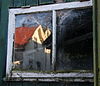 Liefhoven8 -  Liefhoven in Linschoten, weerspiegeling in dubbel raam van schuin rood dak 