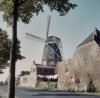 Zicht op de molen uitstekend boven buurpanden