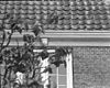 Consolekopje onder gootlijst - Renswoude - 20185377 - RCE -  Kasteel Renswoude: consolekopje onder gootlijst 