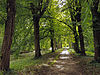 Rijksmonument 520634 tuin Nijenrode