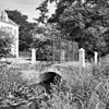 Toegangshek Vechtzijde - Loenen aan de Vecht - 20141410 - RCE -  Huis Nieuwerhoek: toegangshek Vechtzijde 