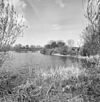 Exterieur OVERZICHT, GELEGEN OP DE LINKER OEVER VAN DE VECHT - Nieuwersluis - 20314244 - RCE -  Fort Nieuwersluis: Exterieur OVERZICHT, GELEGEN OP DE LINKER OEVER VAN DE VECHT 