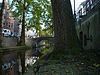 Nieuwegracht te Utrecht met de Magdalenabrug.JPG -  Nieuwegracht te Utrecht met de Magdalenabrug. 