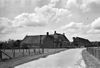Overzicht van boerderij met dwarsgeplaatst woonhuis en tabaksschuur, weg op de voorgrond - Amerongen - 20008928 - RCE -  Rodenstein: Overzicht van boerderij met dwarsgeplaatst woonhuis en tabaksschuur, weg op de voorgrond 