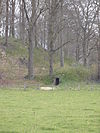 Hydepark: IJskelder