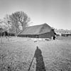 Exterieur OVERZICHT - Leersum - 20314154 - RCE -  Boerderij: Exterieur OVERZICHT 