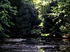WbD EF Monumenten Richting Wildkamp RM 454313.JPG -  Wijk bij Duurstede Park en tuin 