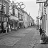 Overzicht - Wijk bij Duurstede - 20213446 - RCE -  overzicht 