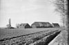 Overzicht - Borssele - 20038675 - RCE -  Hof Hollepolder: overzicht 