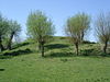 Vliedberg Berg van Troje.JPG -  Vliedberg 