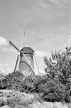 De Koutermolen van opzij gefotografeerd - Hoedekenskerke - 20353958 - RCE -  De Koutermolen/ Diversen: De Koutermolen van opzij gefotografeerd 