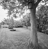 Exterieur overzicht tuin - 20000819 - RCE -  Exterieur overzicht tuin 