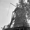 Korenmolen 
