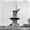 Korenmolen 