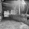 Interieur schuur - Lamswaarde - 20128788 - RCE -  interieur schuur 