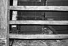 Kinderbalken, begane grond - Middelburg - 20157700 - RCE -  kinderbalken, begane grond 