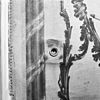 Interieur behangschildering boven deur in kamer van de wacht. - Middelburg - 20155136 - RCE -  Van De Perrehuis: interieur behangschildering boven deur in kamer van de wacht. 