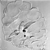 Detail plafond voorkamer - Middelburg - 20157515 - RCE -  detail plafond voorkamer 
