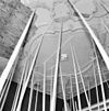 INTERIEUR, ACHTERKAMER, STUCPLAFOND - Middelburg - 20278186 - RCE -  De Groote En De Kleine Christoffel: INTERIEUR, ACHTERKAMER, STUCPLAFOND 