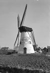 Molen - Krabbendijke - 20127579 - RCE -  Korenmolen De Rozeboom: Molen 