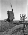 Standaardmolen - Kruiningen - 20128145 - RCE -  Diversen: Standaardmolen 