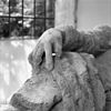 INTERIEUR, ZIJKAPEL, GRAFMONUMENT, DETAIL - Waarde - 20285048 - RCE -  Nederlands Hervormde Kerk: INTERIEUR, ZIJKAPEL, GRAFMONUMENT, DETAIL 