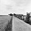 Overzicht oprijlaan naar boerderij - Noordgouwe - 20169013 - RCE -  De Rozengaard: Overzicht oprijlaan naar boerderij 