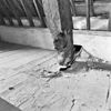 Interieur zwam op kapstijl balkconstructie - Zierikzee - 20222527 - RCE -  Gevangenis De Steen Of Gravensteen: interieur zwam op kapstijl balkconstructie 