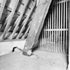 Interieur zwam op kapstijl balkconstructie - Zierikzee - 20222528 - RCE -  Gevangenis De Steen Of Gravensteen: interieur zwam op kapstijl balkconstructie 