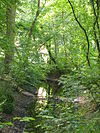Aardenburg Engels landschap.JPG