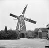 Korenmolen 