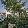 Achtergevel met groen - Sas van Gent - 20345038 - RCE -  Achtergevel met groen 
