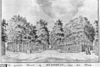 Reproductie van tekening de grote dreef, origineel in bezit van Zeeuws Genootschap - Oostkapelle - 20175457 - RCE -  Buitenplaats Overduin: reproductie van tekening de grote dreef, origineel in bezit van Zeeuws Genootschap 