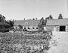 Overzicht voorgevels - Oostkapelle - 20175631 - RCE -  Groot Middenhof: Overzicht voorgevels 