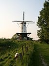 Veere molen De Koe -  Veere: Korenmolen De Koe, met op de voorgrond schapen