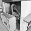 INTERIEUR, SCHOUW VOORKAMER, EERSTE VERDIEPING - Veere - 20291038 - RCE -  INTERIEUR, SCHOUW VOORKAMER, EERSTE VERDIEPING 