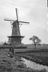 Molen 