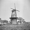 Korenmolen, aanzicht - Bergambacht - 20031202 - RCE -  De Arend: korenmolen, aanzicht 