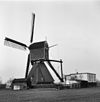 Wipwatermolen van de Weipoortsepolder - Bodegraven - 20036864 - RCE -  Weijpoortsche molen: wipwatermolen van de Weipoortsepolder 