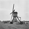 Wipmolen van de polder Weipoort, overzicht - Bodegraven - 20036844 - RCE -  Weijpoortsche molen: wipmolen van de polder Weipoort, overzicht 