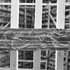 Interieur- een van de beschilderde moerbalken onder het vroeg-17de-eeuwse stucplafond op de verdieping - Brielle - 20042533 - RCE -  Kantongerecht: Interieur: een van de beschilderde moerbalken onder het vroeg-17de-eeuwse stucplafond op de verdieping 