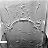 INTERIEUR, GEDEELTE PLAFOND GANG IN ACHTERHUIS - Brielle - 20304267 - RCE -  INTERIEUR, GEDEELTE PLAFOND GANG IN ACHTERHUIS 