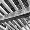 Interieur- een van de beschilderde moerbalken onder het vroeg-17de-eeuwse stucplafond op de verdieping - Brielle - 20042535 - RCE -  Kantongerecht: Interieur: een van de beschilderde moerbalken onder het vroeg-17de-eeuwse stucplafond op de verdieping 