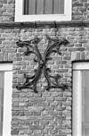 Exterieur SIERANKER IN VOORGEVEL - Brielle - 20266063 - RCE -  Exterieur SIERANKER IN VOORGEVEL 