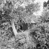 Voorgevel - Brielle - 20042933 - RCE -  voorgevel 
